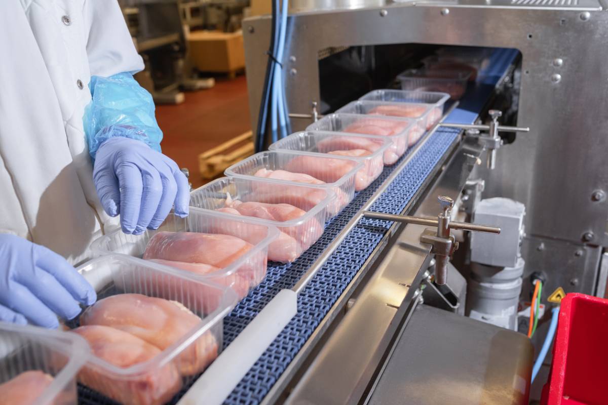 Comment les équipements de découpe optimisent-ils la valorisation des viandes ?